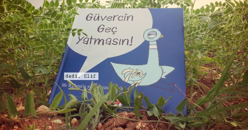 Güvercin Geç Yatmasın Güvercin Geç Yatmasın