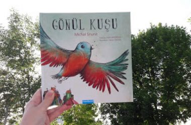Gönül Kuşu