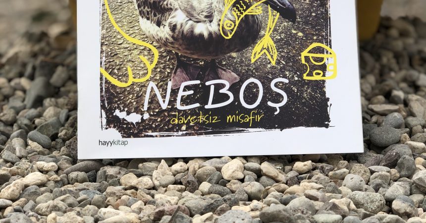 Neboş Neboş