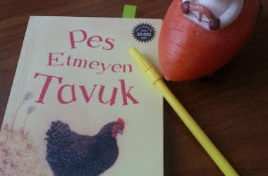 Pes Etmeyen Tavuk Pes Etmeyen Tavuk