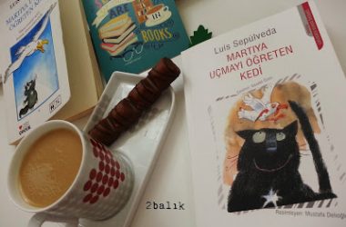 Martıya Uçmayı Öğreten Kedi