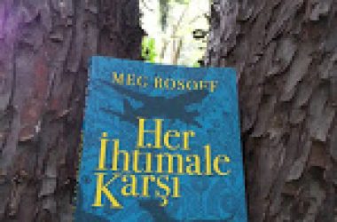 Her İhtimale Karşı Her İhtimale Karşı