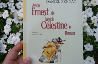 Ayıcık Ernest ile Farecik Celestine’in Romanı