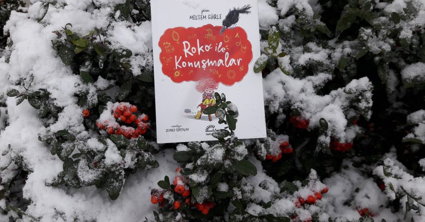 Roko İle Konuşmalar Roko İle Konuşmalar